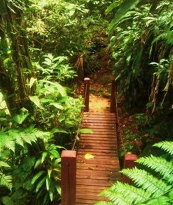 Hotel Bosques Do Massaguacu カラグァタトゥバ エクステリア 写真