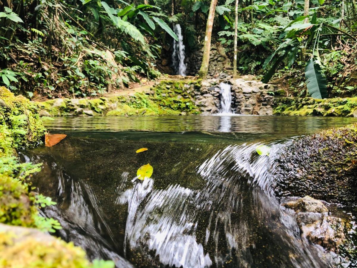 Hotel Bosques Do Massaguacu カラグァタトゥバ エクステリア 写真